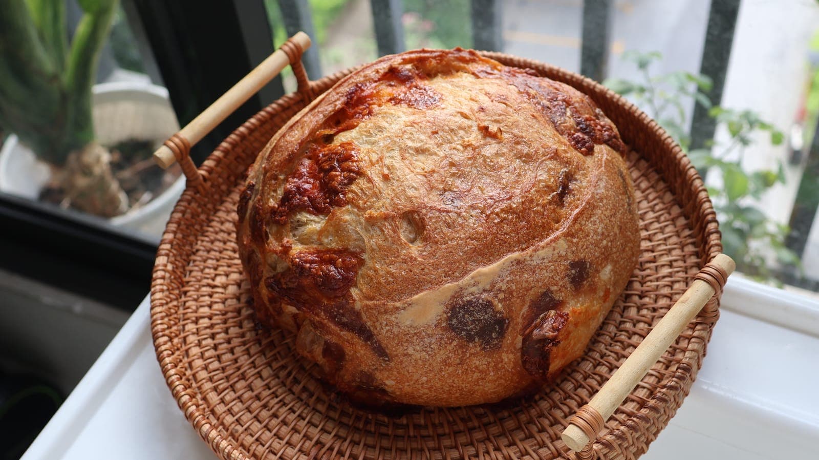 Sourdough Cheddar