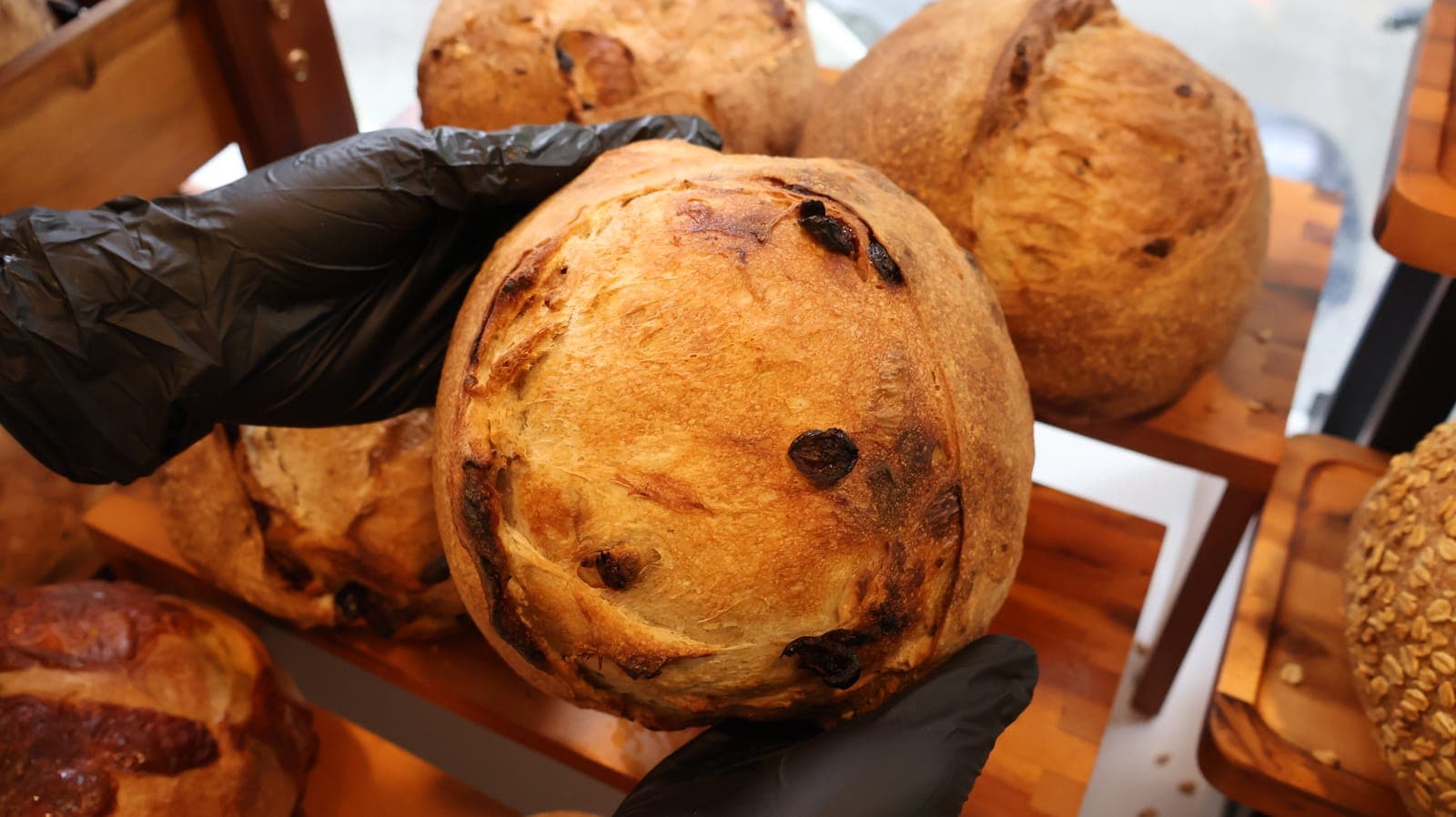 Sourdough Creamcheese Cranberry